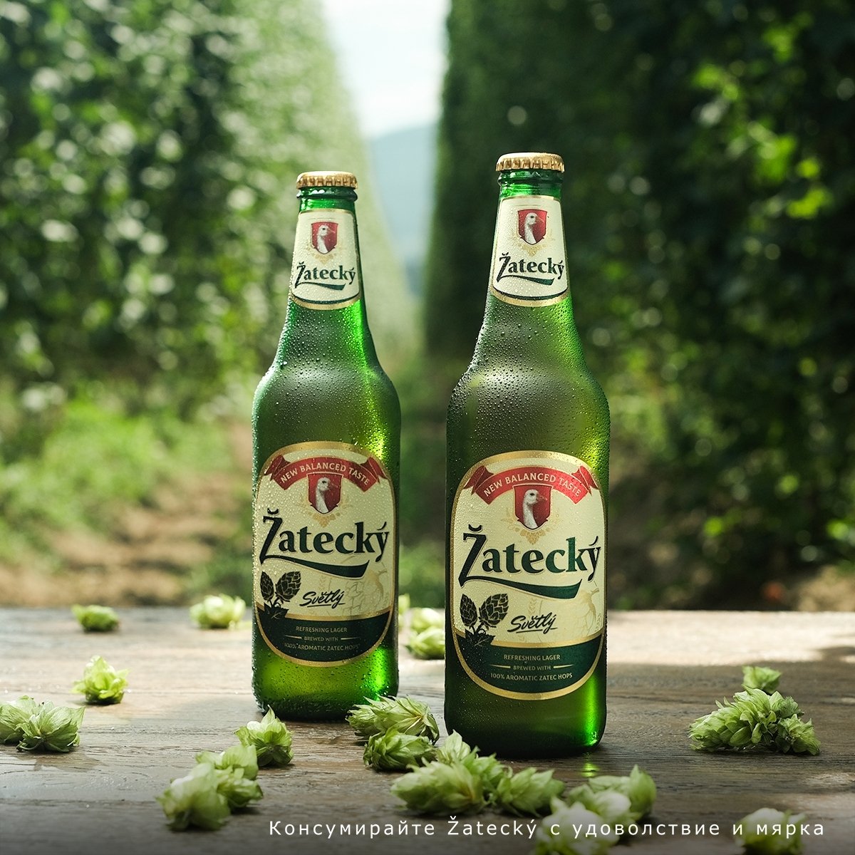 B+RED | Carlsberg 2023 - Zatecky - Local Content Creation