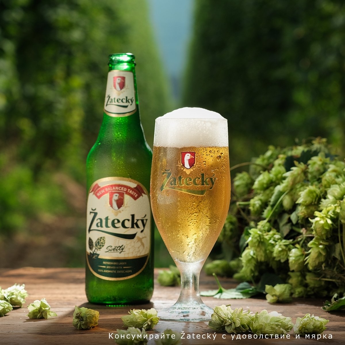 B+RED | Carlsberg 2023 - Zatecky - Local Content Creation